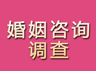 瓮安婚姻咨询调查