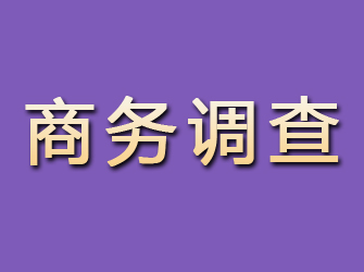 瓮安商务调查